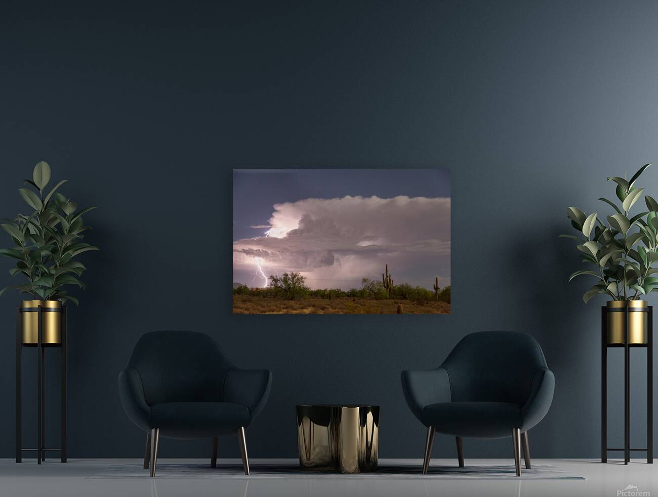 Arizona Power Reproduction