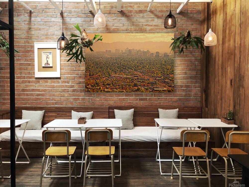 Phoenix Valley Of The Sun Reproduction