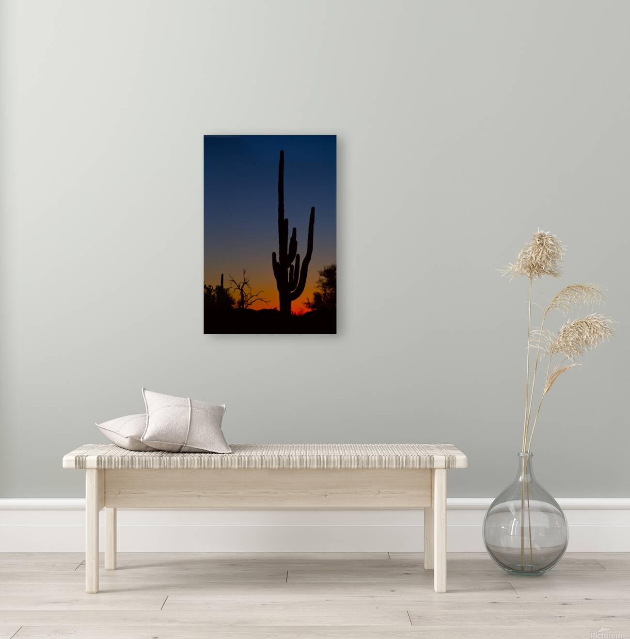 Sonoran Desert Sunrise Reproduction