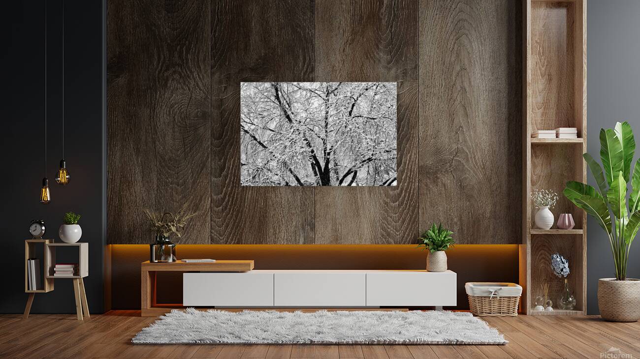 Black and White Snowy Tree Branches Abstract 2 Reproduction