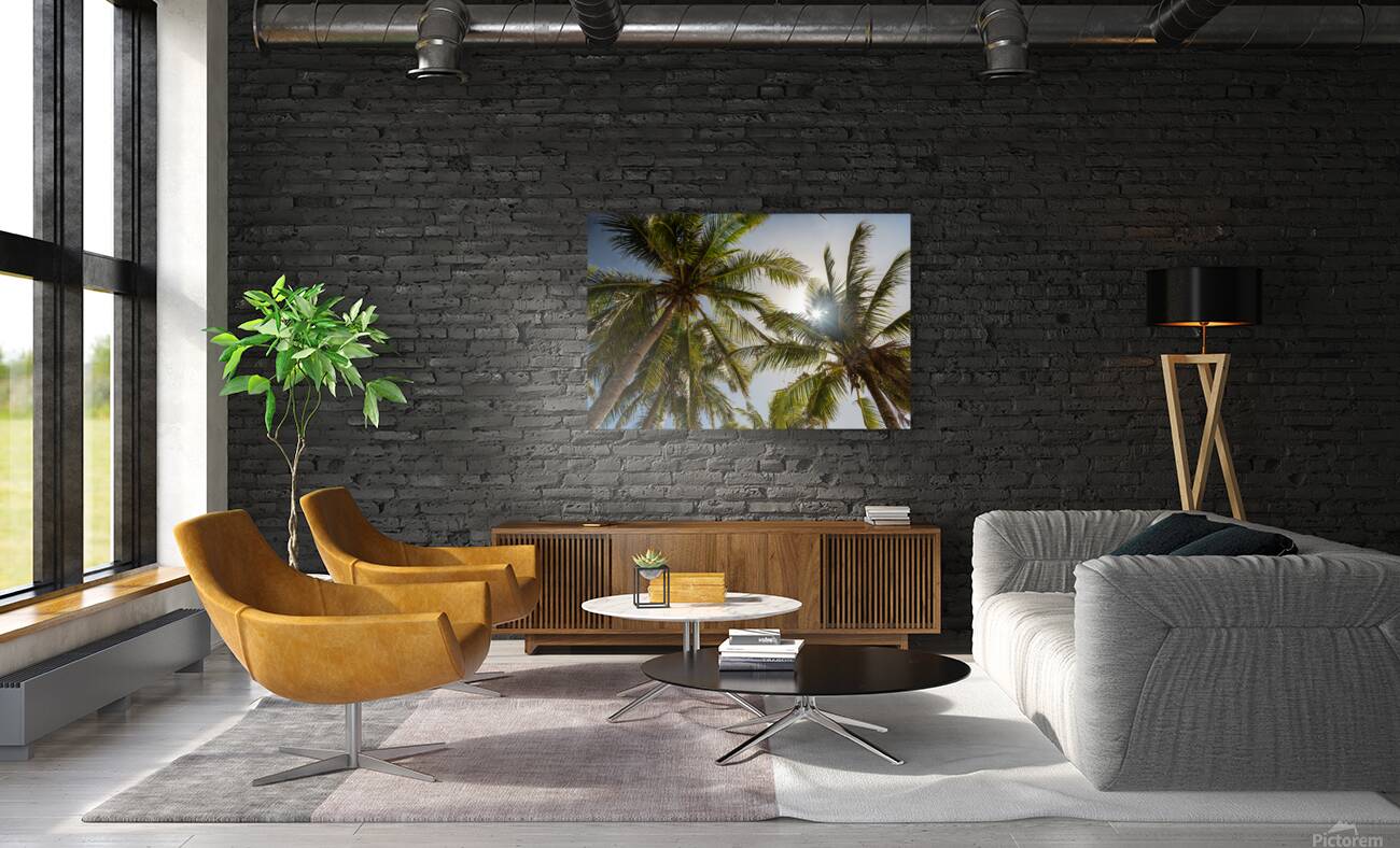 Tropical Sun Reproduction