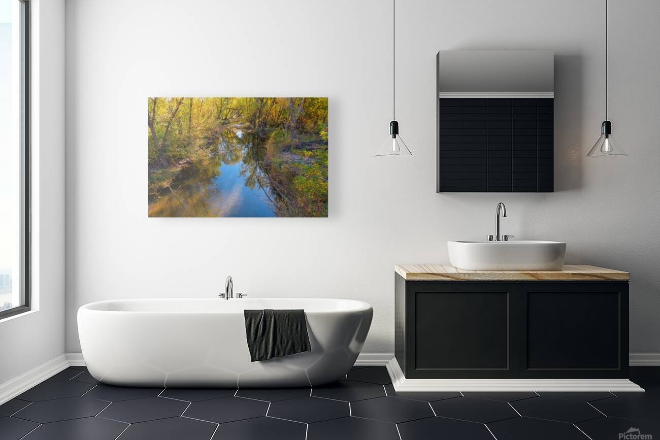 Reflections Time Reproduction