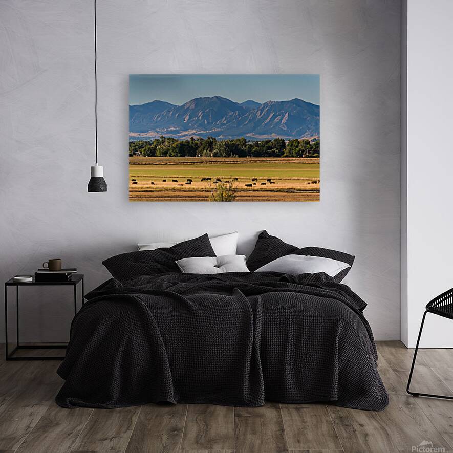 Boulder Flatirons and Cows Reproduction