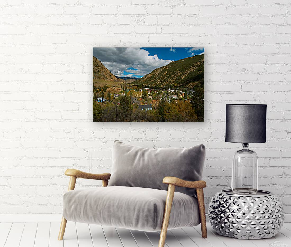 Georgetown Colorado Reproduction