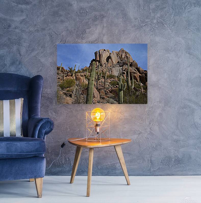 Scenic with Big Boulders Towering Giants of the Sonoran Desert Reproduction