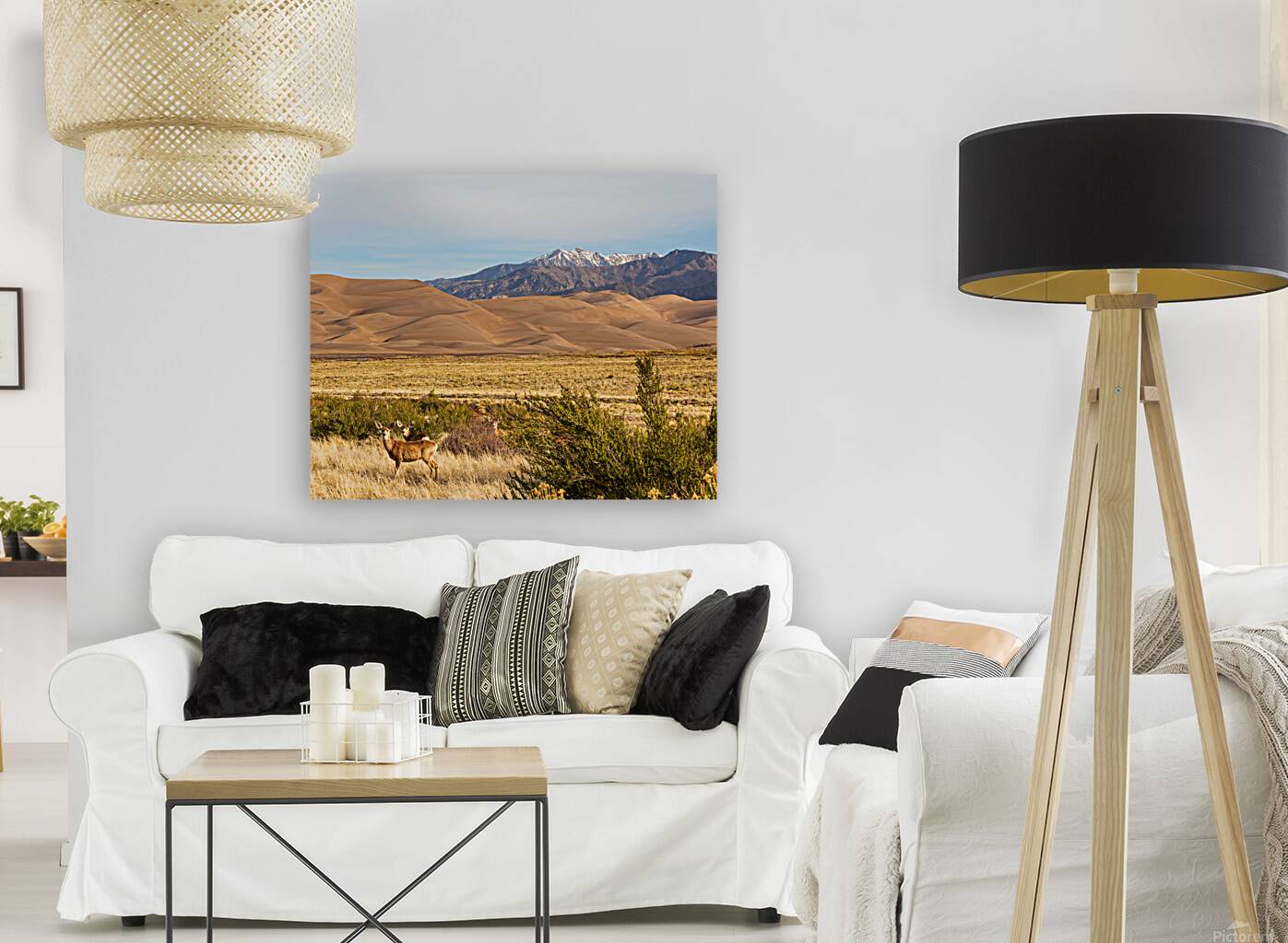 Deer And The Great Colorado Sand Dunes Reproduction