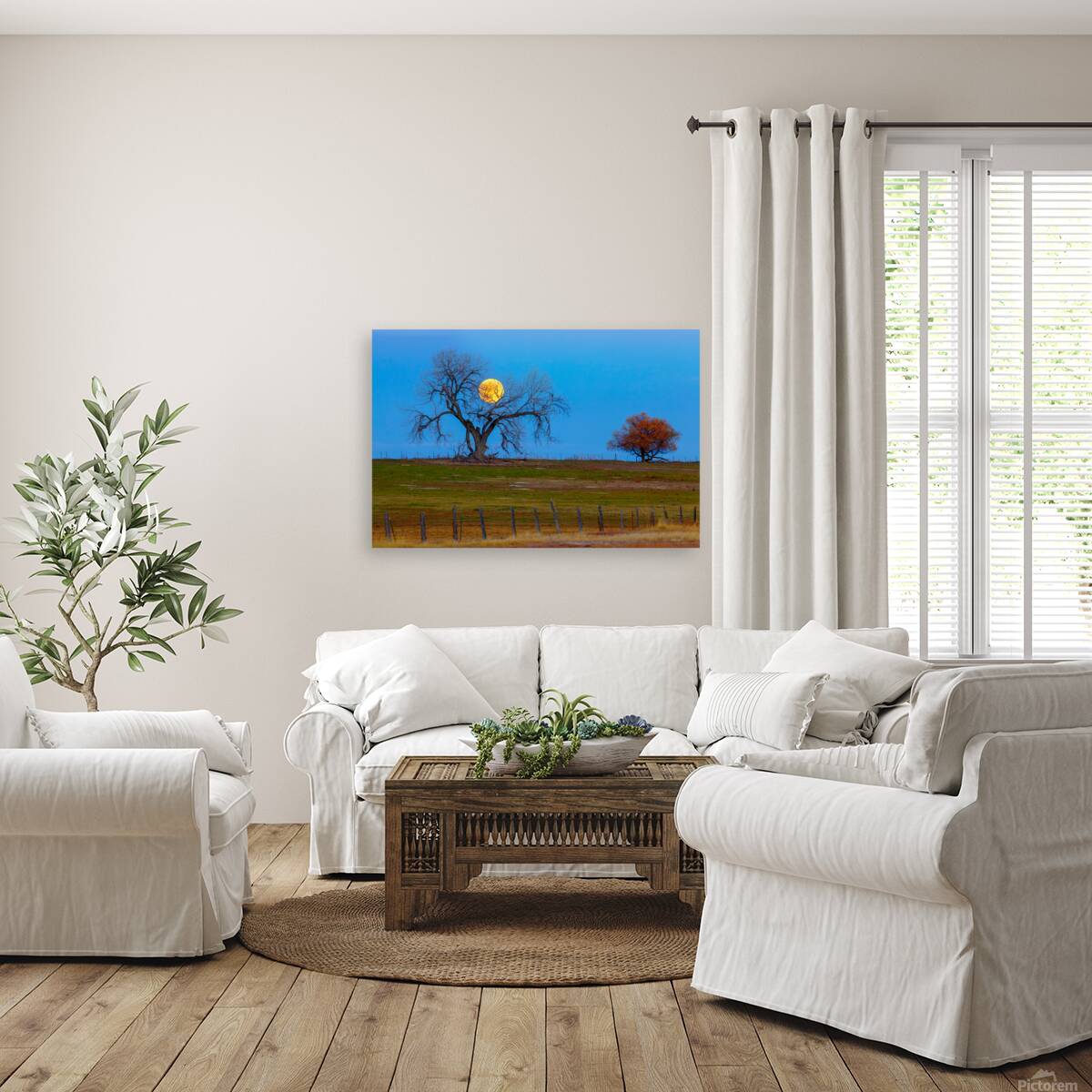 Supermoons Gilded Ascent A Celestial Masterpiece Reproduction