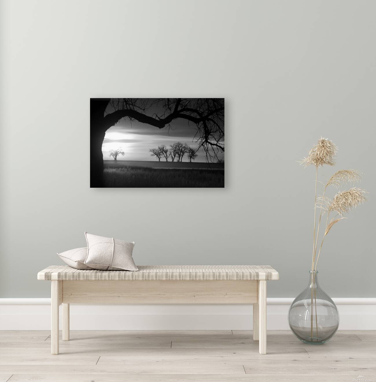 Whispers of Trees and Meadows at Sunrise in Black and White Reproduction