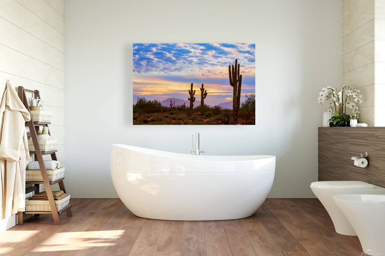 Colorful Sonoran Desert Sunrise in Beautiful Arizona Reproduction