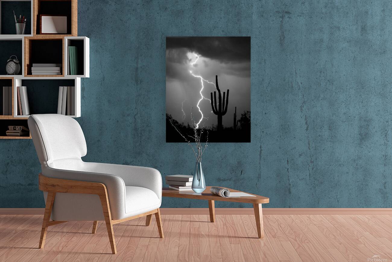 Black and White Lightning Over Arizona Desert Saguaro Reproduction