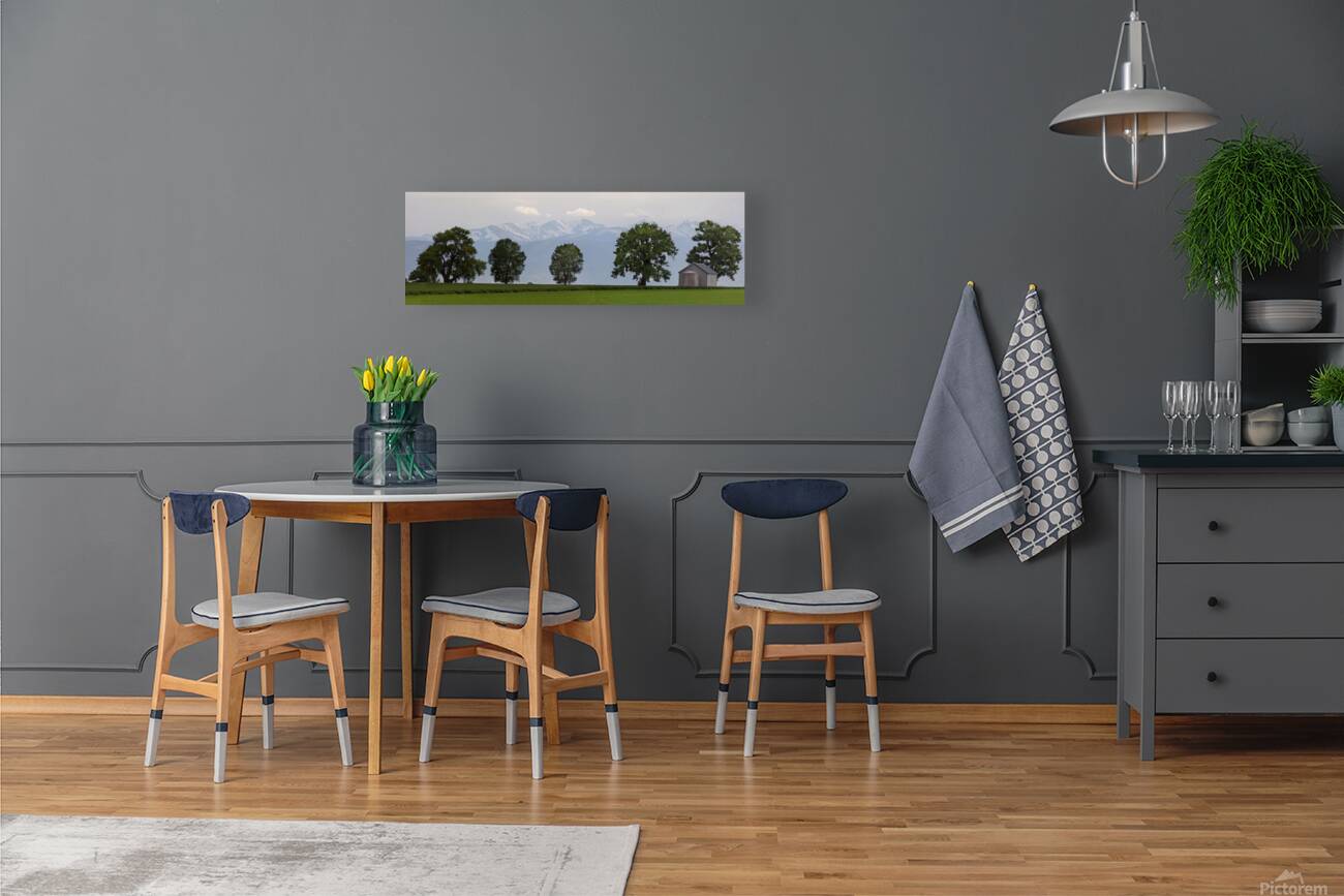 Boulder County CO Panorama1 Reproduction