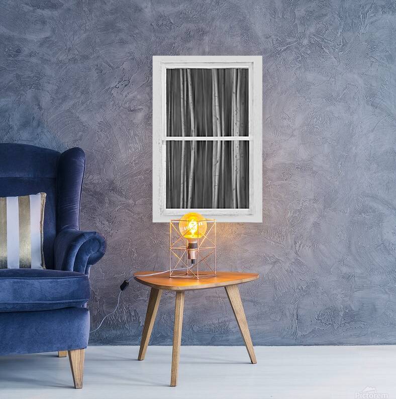 Surreal Dreamy Aspen Forest White Rustic Window Reproduction