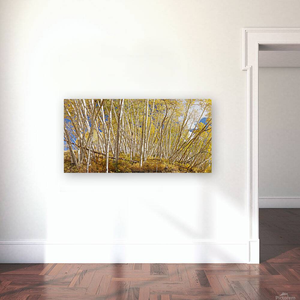 Golden Forest Fantasy Reproduction