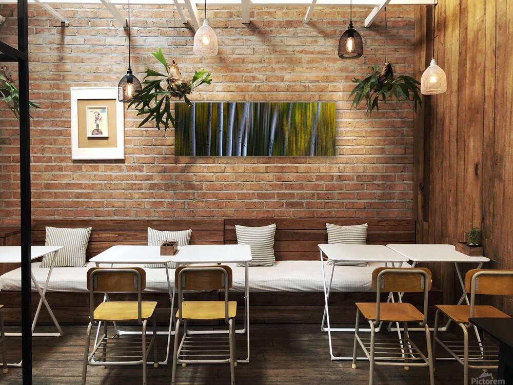 Roosevelt National Forest Wilderness Wonderla Reproduction