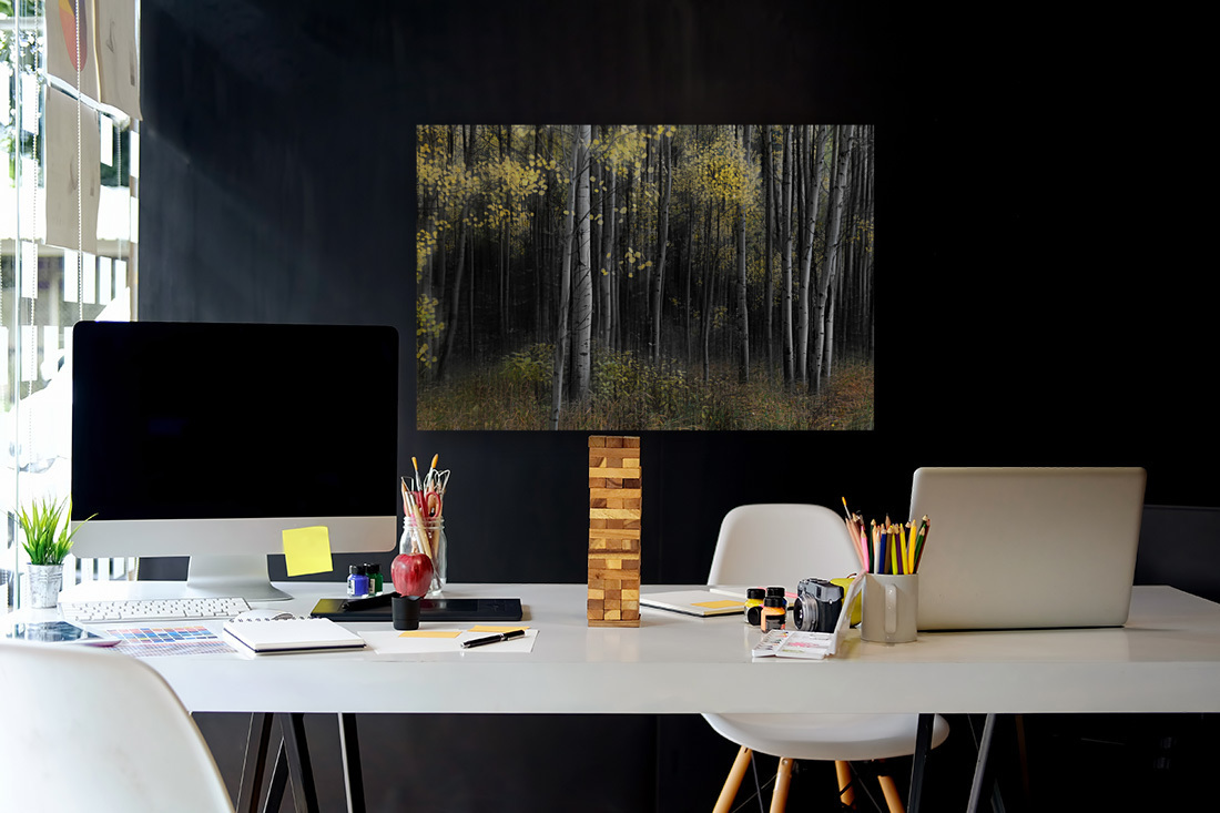Aspen Tree Grove Into Darkness  Reproduction