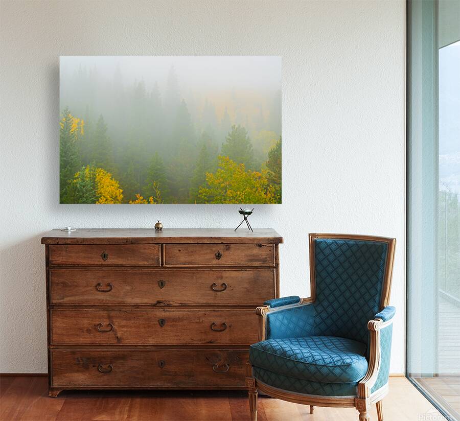 Color in the Clouds Reproduction