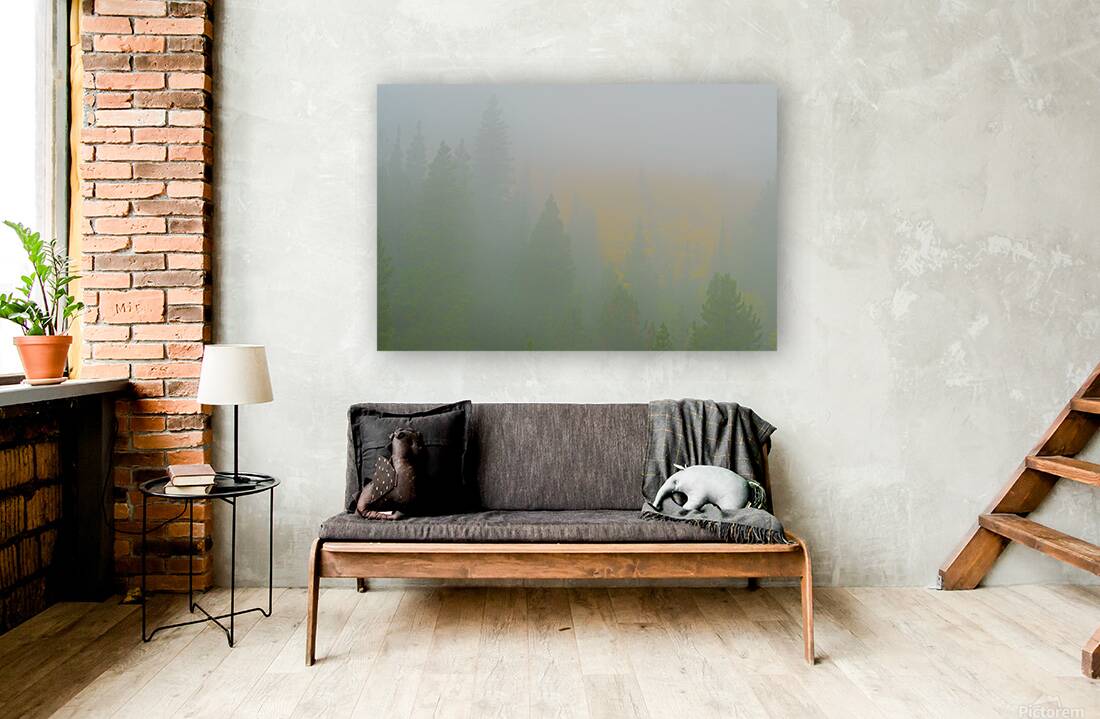 Deep in the Fog Reproduction