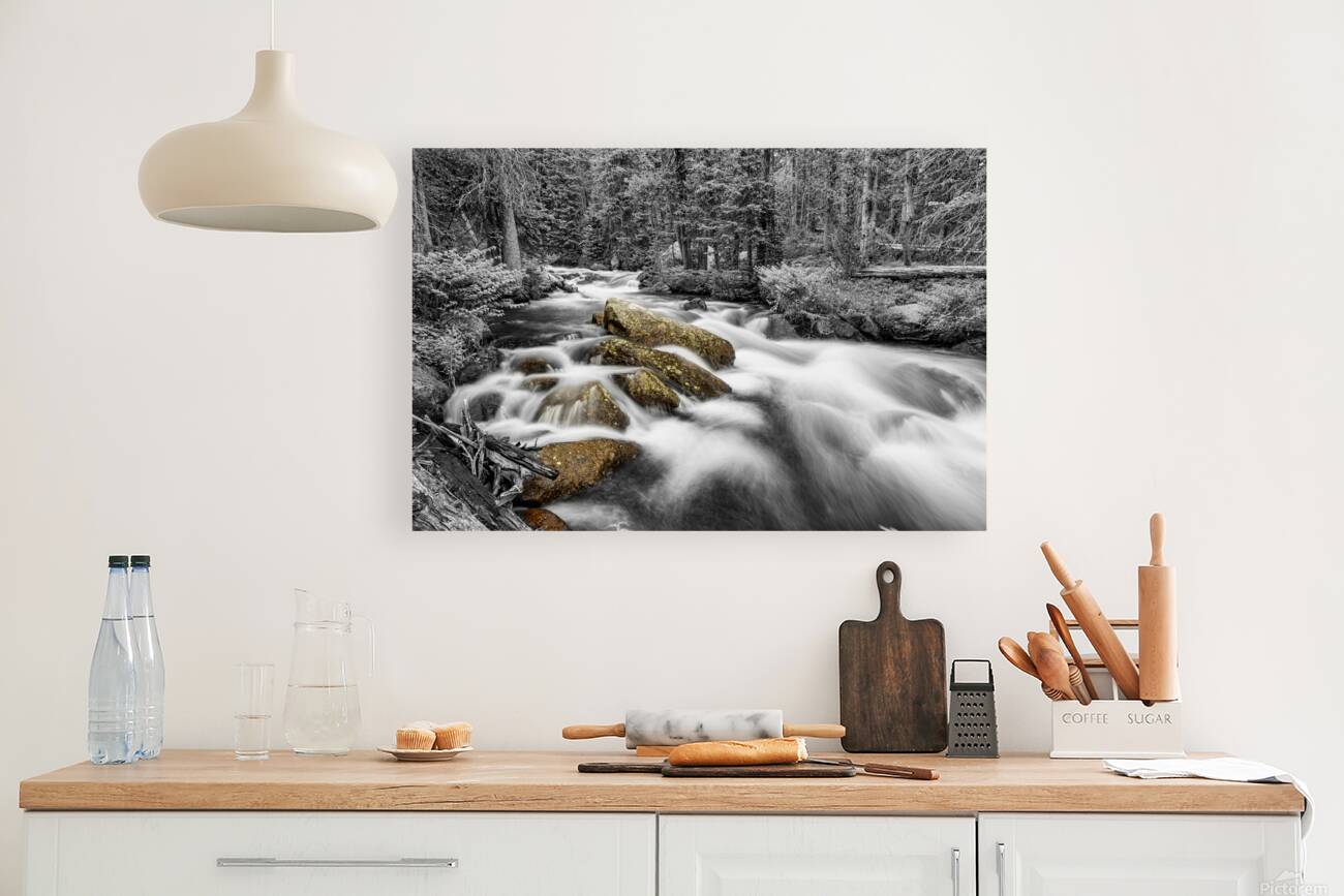 Roosevelt National Forest Stream BW Selective Reproduction