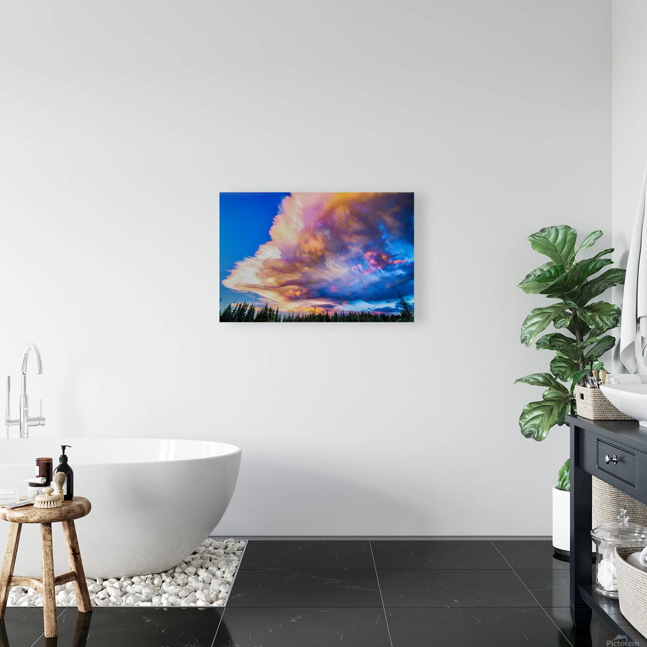 High Elevation Forest Sunset Sky Timed Stack Reproduction