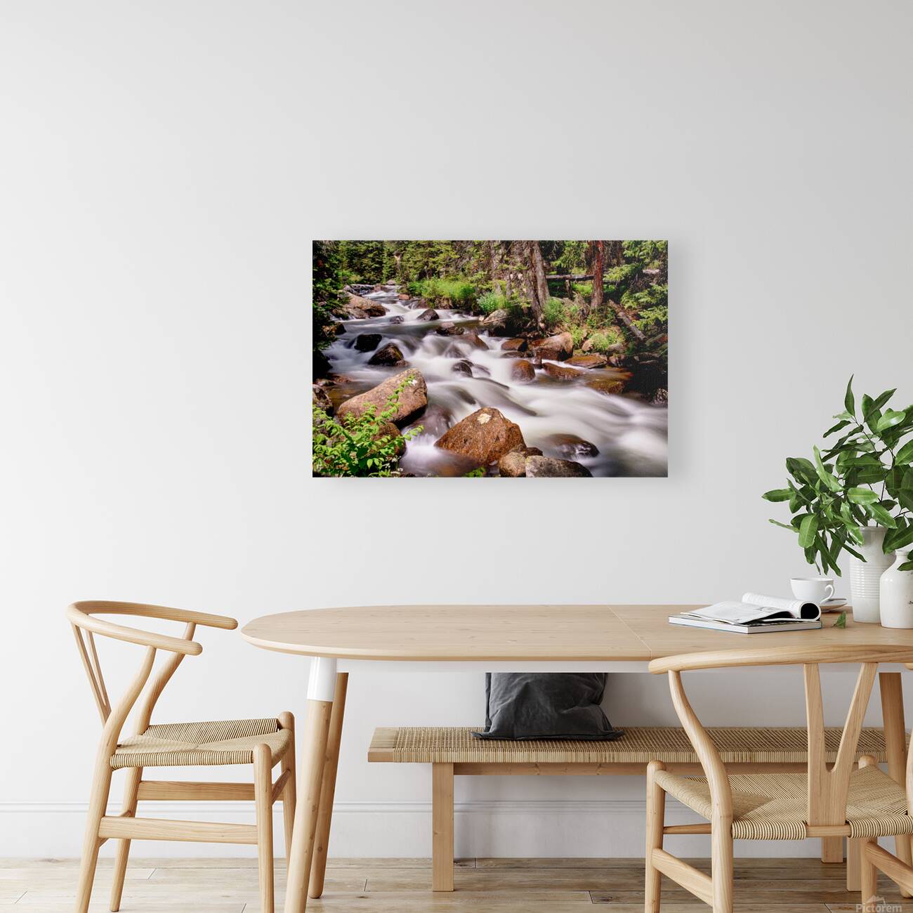 Cascading Rocky Mountain Forest Creek Reproduction
