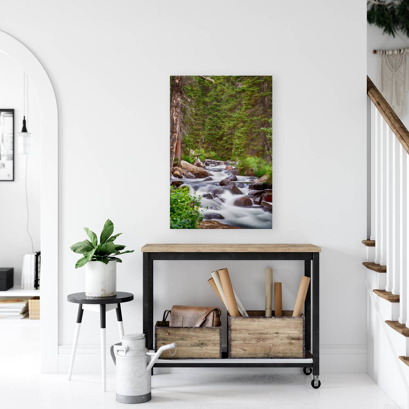 Mountain Stream Reproduction