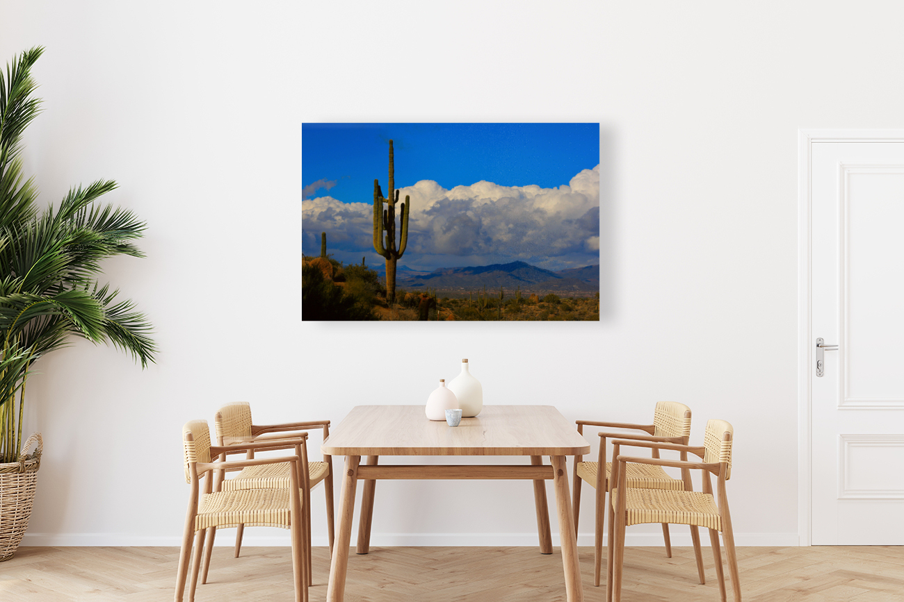  Amazing Giant Saguaro Cactus  back frame mount