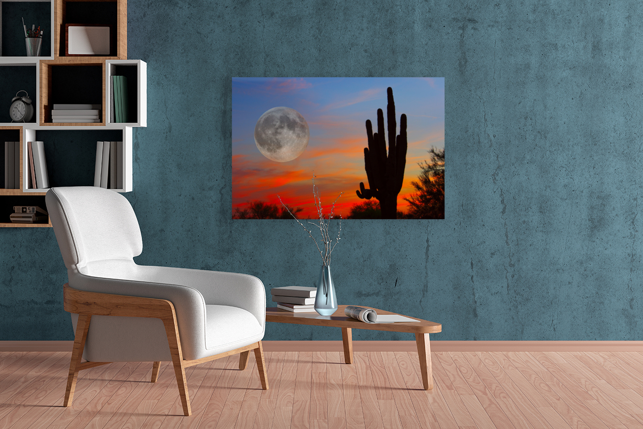 Full Moon Big Saguaro Sunset  back frame mount