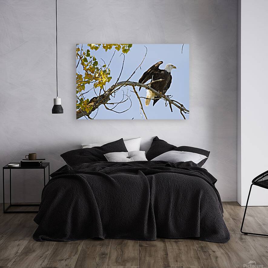 Eagle Wave Reproduction