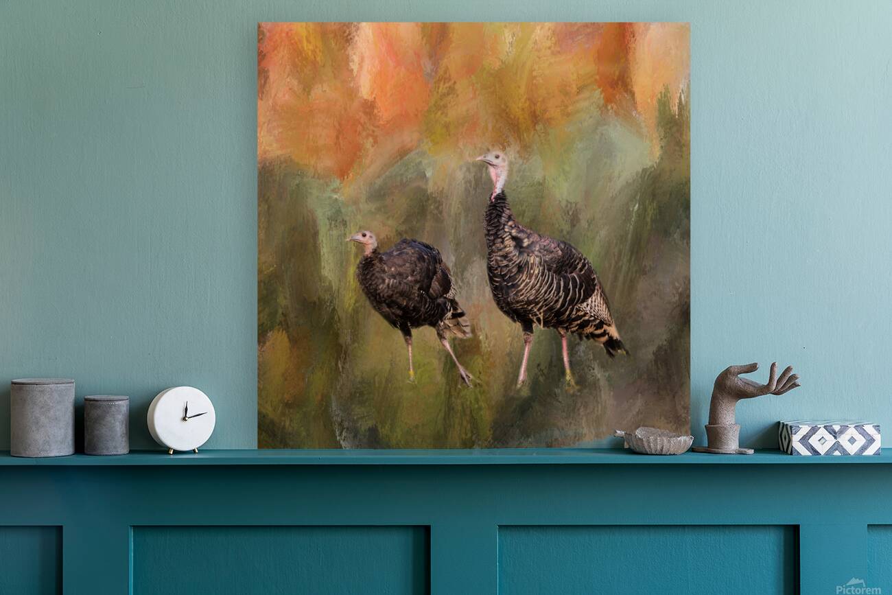 jive turkeys Reproduction