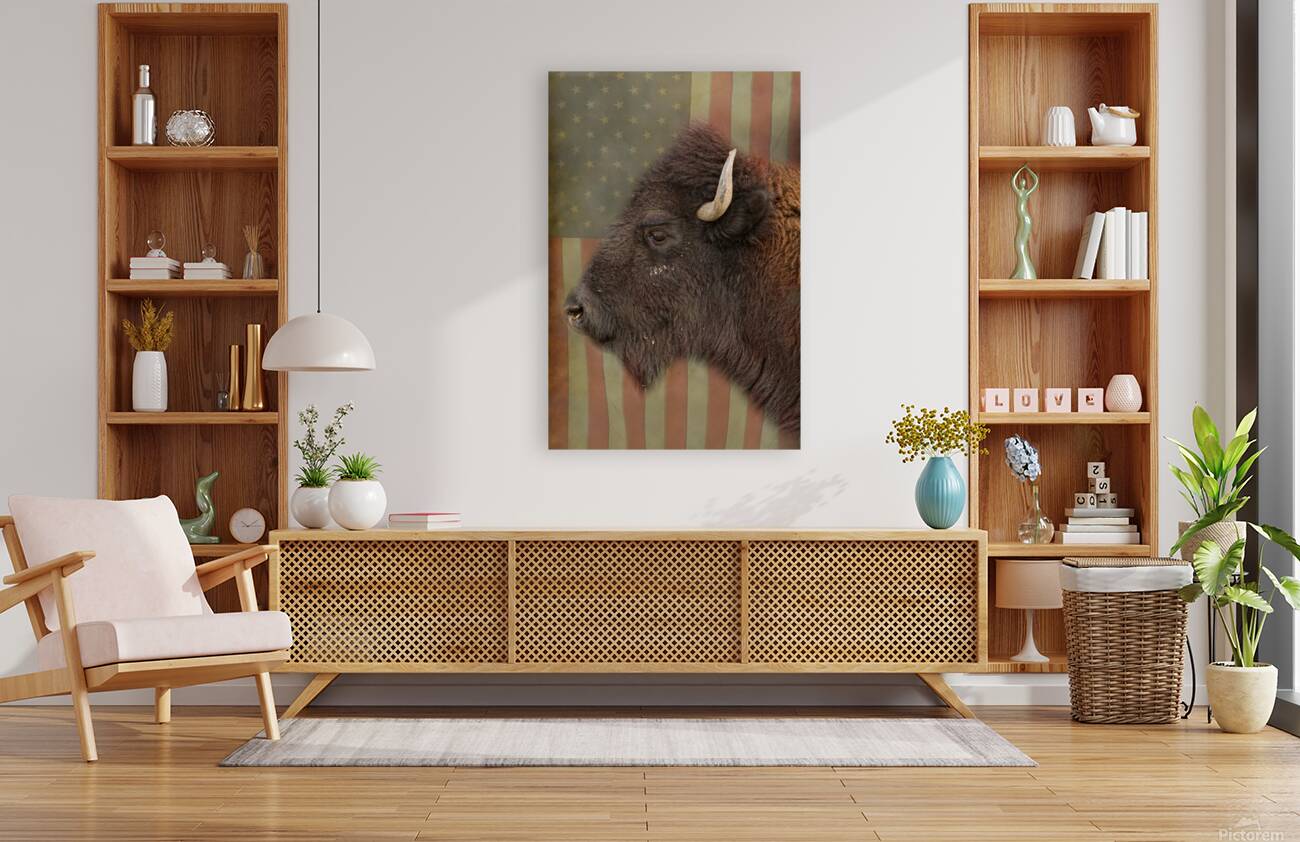American Bison Profile Reproduction