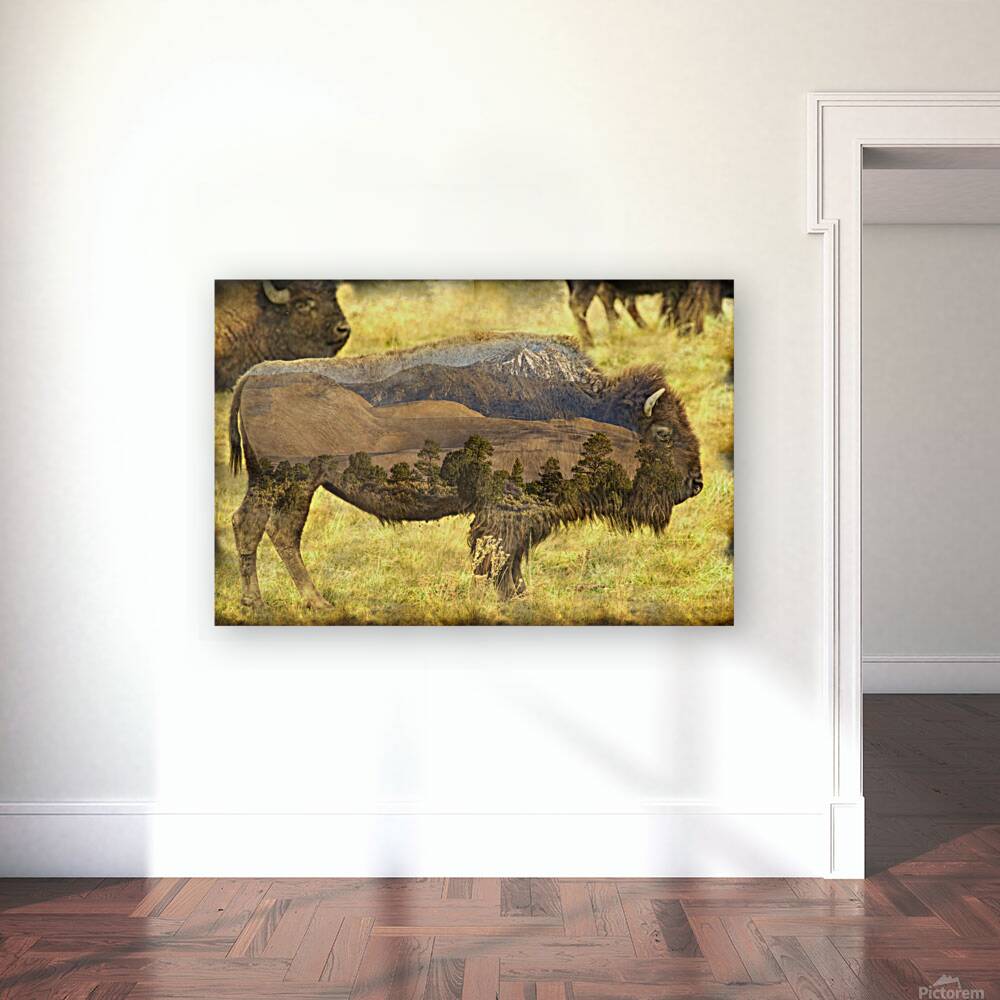 Buffaloe Sand Dunes Reproduction