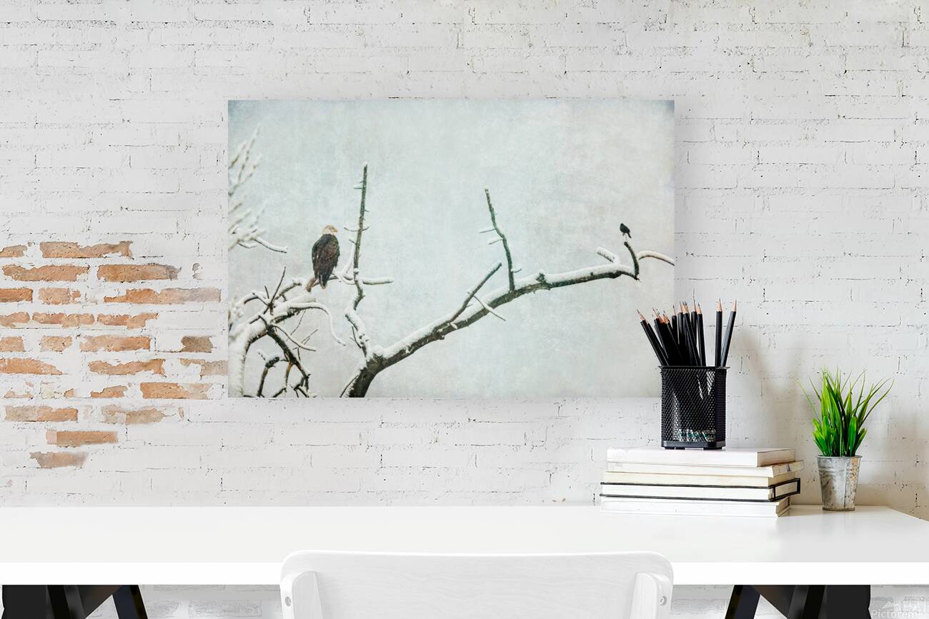 Bald Eagle Little Birdie Reproduction