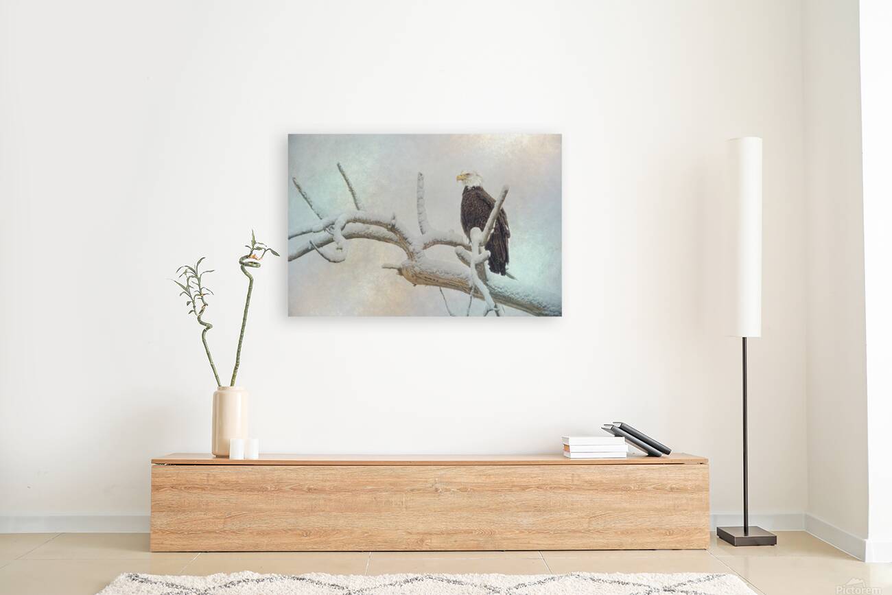 Eagle Eye Reproduction