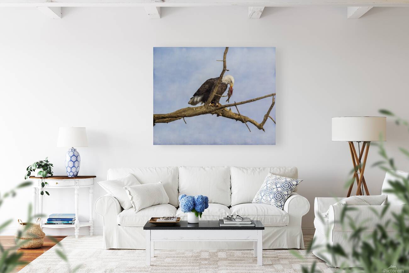 fish anyone Reproduction