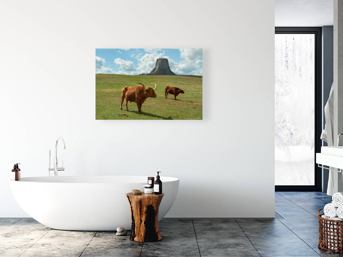 Longhorn Cattle and Devils Tower Reproduction