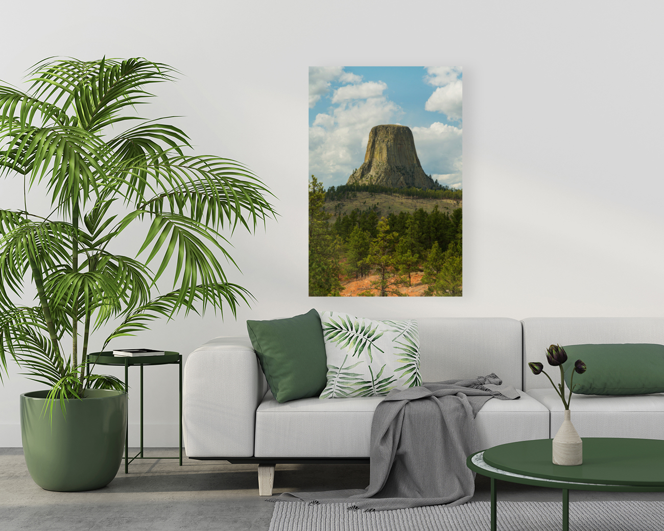 Majestic Devils Tower in Wyoming Surrounded by Pine Forest  back frame mount