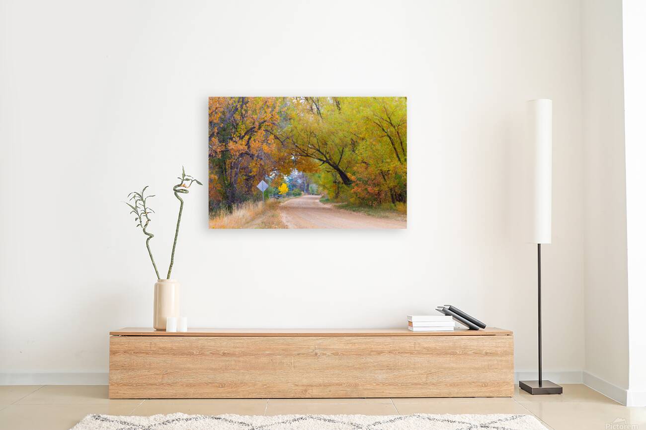 Autumns Enchantment - The Country Road Canopy Reproduction