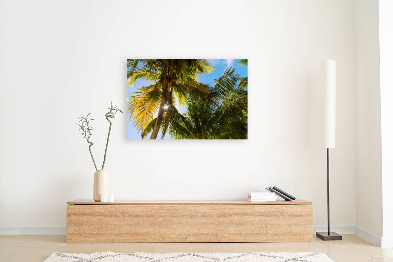 Reminiscent of a Tropical Paradise Reproduction