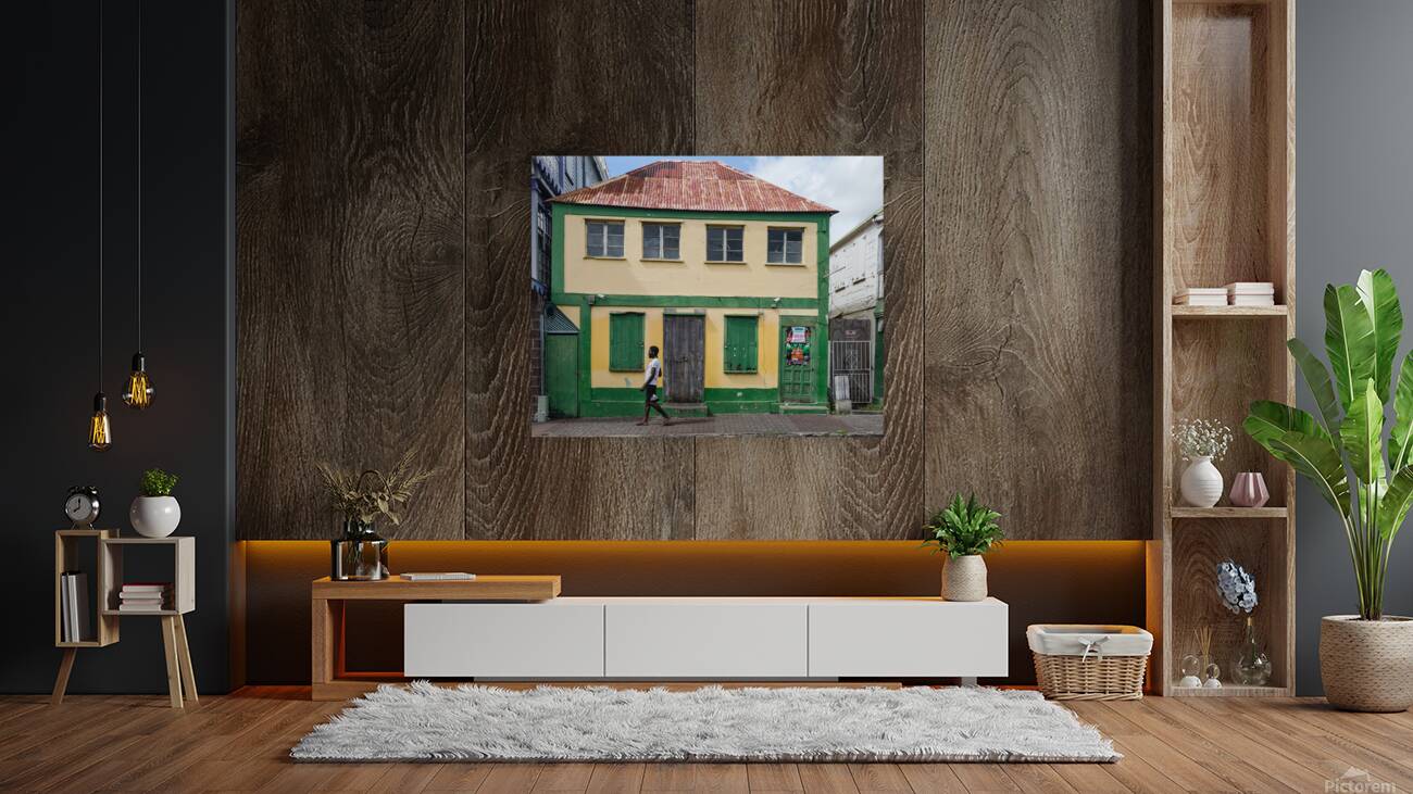 Vibrant Colors and Textures of Caribbean Island Life  Reproduction