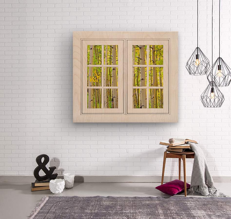 Aspen Forest White Picture Window Frame View  Wood print