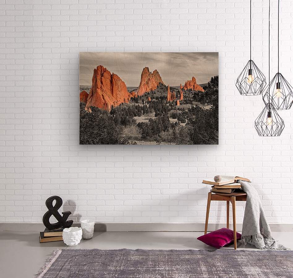 Garden of the Gods with Selective Color  Wood print