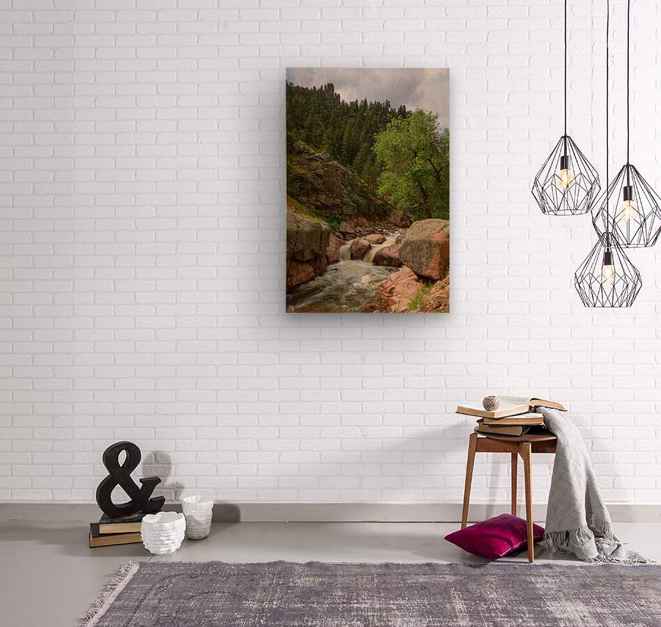 Getting Lost In A Canyon Creek  Wood print