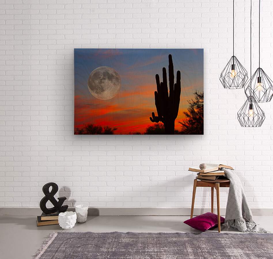 Full Moon Big Saguaro Sunset  Wood print