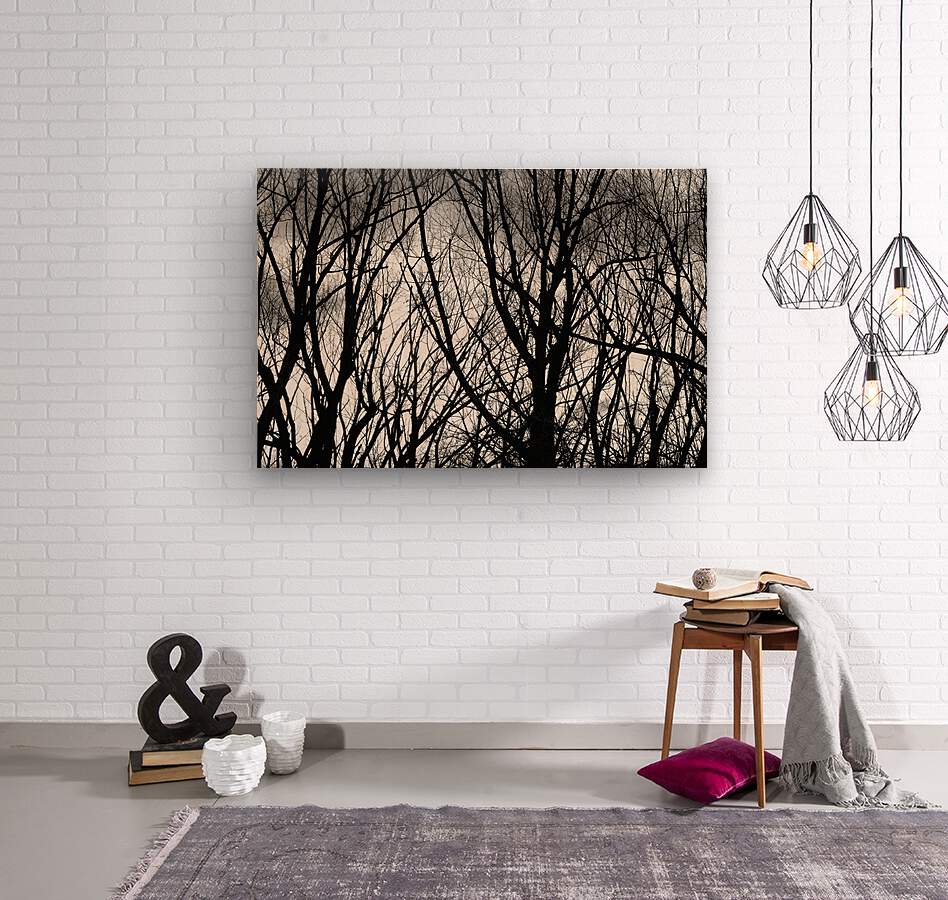 Tree Branches Into The Night  Wood print