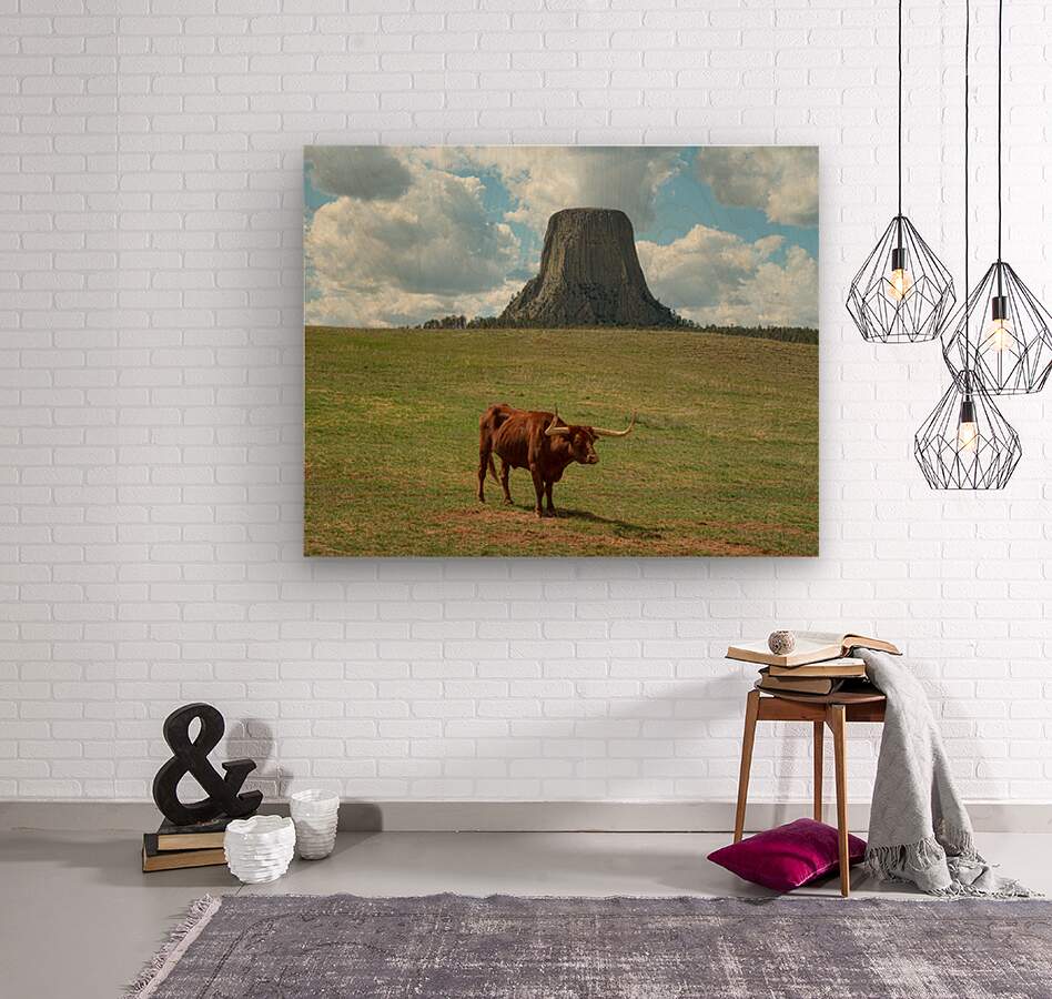 Longhorn Cow Posing at Devils Tower in Wyoming - First US Nation  Wood print