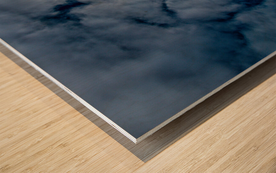 Sun Burning Through Wood print