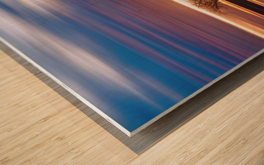 Close Encounters Four Wood print