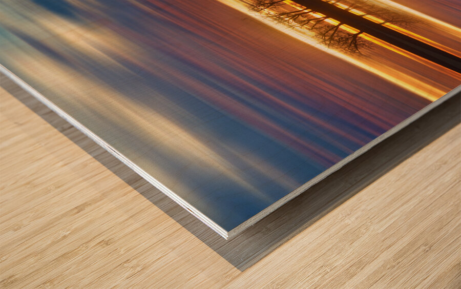 Close Encounters Four Wood print