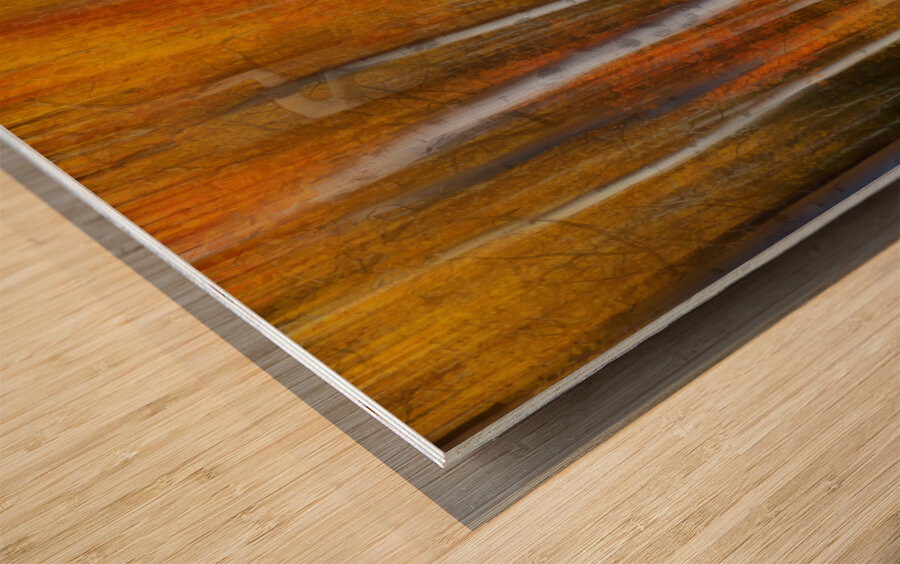 Forest Color Burst Modern Abstract Wood print