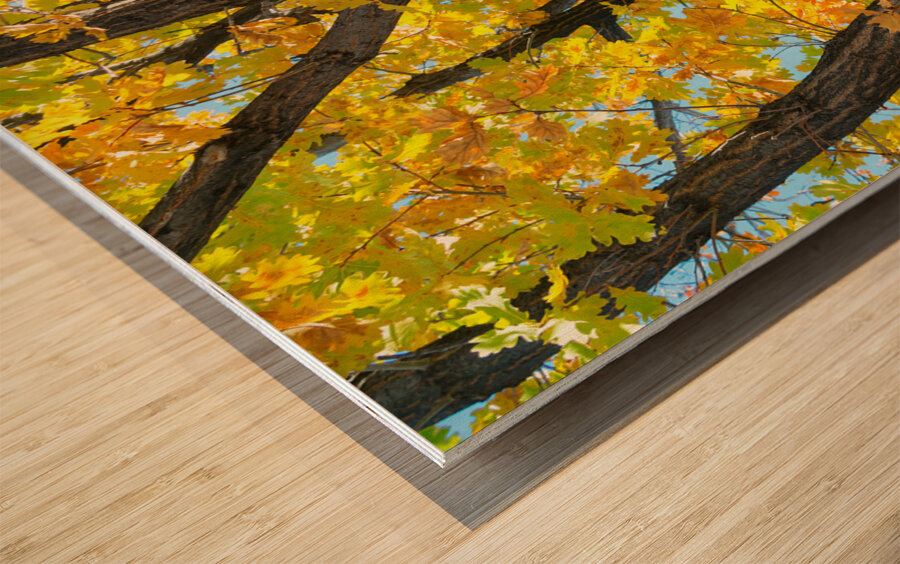 Some Un be leaf able Fall Vibes Wood print